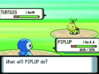 Nintendo Pokemon Series NDS-Spielkarte mit Box, US-Version, Englisch