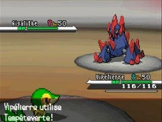 Nintendo Pokemon Series NDS-Spielkarte mit Box, US-Version, Englisch