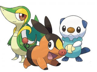 Nintendo Pokemon Series NDS-Spielkarte mit Box, US-Version, Englisch