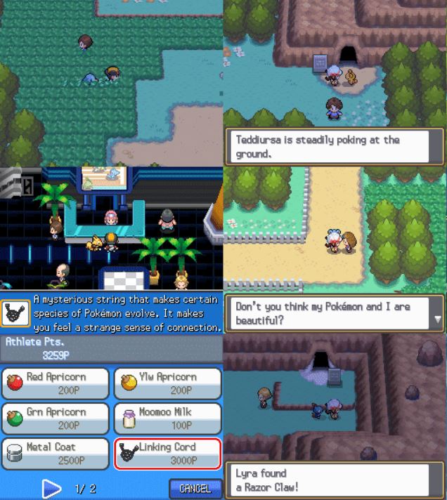 Pokémon True Soul – Nintendo DS-Spiel mit Box – Regionsfrei