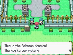 Pokémon Renegade Platinum – Nintendo DS-Spiel mit Box – Regionsfrei
