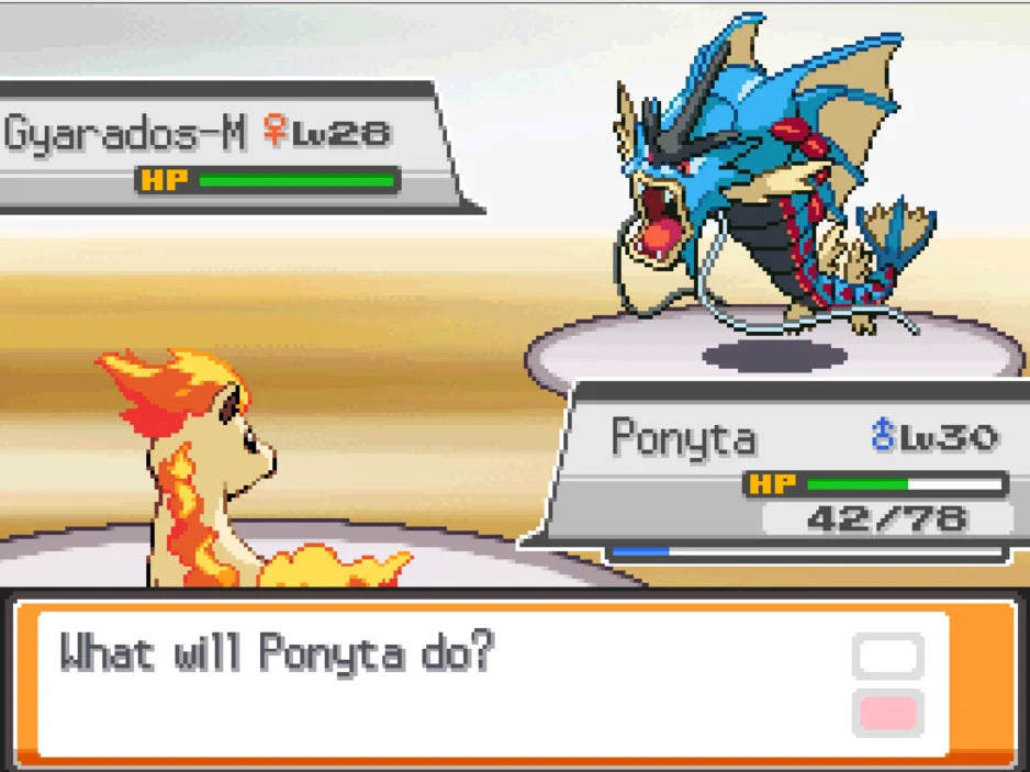 Pokémon Garbage Gold – Nintendo DS-Modul mit Box